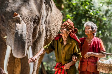 Tayland fil ve kıdemli çift