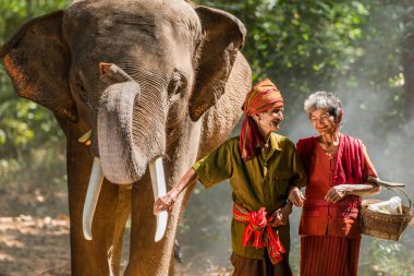Tayland fil ve kıdemli çift
