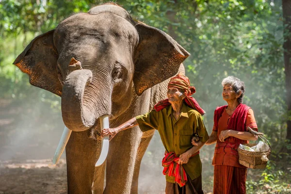 Elefante e coppia di anziani in Thailandia — Foto Stock