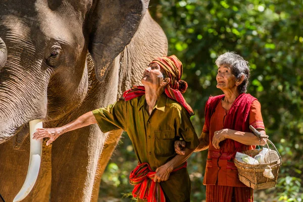 Elefante e coppia di anziani in Thailandia — Foto Stock