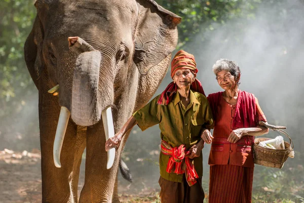 Слон и старшая пара в Таиланде — стоковое фото