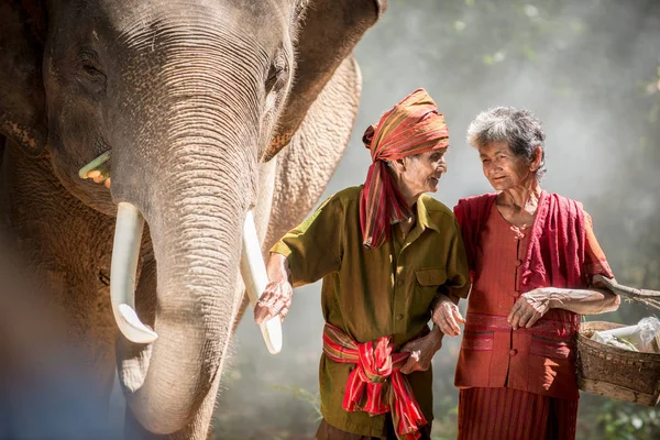 Elefante e coppia di anziani in Thailandia — Foto Stock