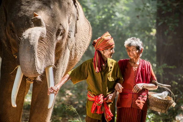 Elefante e coppia di anziani in Thailandia — Foto Stock