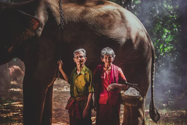 Слон і старший пара в Таїланді — стокове фото
