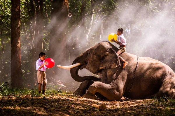 Elefant und Schuljunge in Thailand — Stockfoto