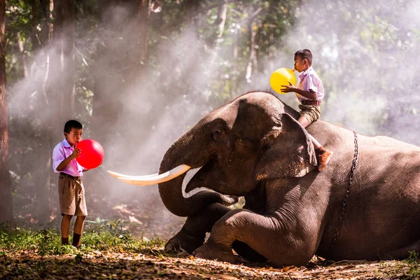 Ελέφαντας και το σχολείο αγόρι στην Ταϊλάνδη — Φωτογραφία Αρχείου