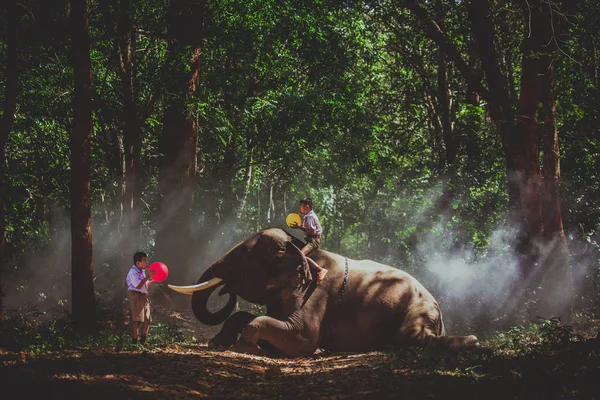 Tayland fil ve okul çocuk — Stok fotoğraf