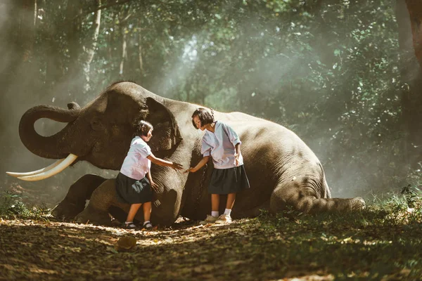 Elefant und Schuljunge in Thailand — Stockfoto