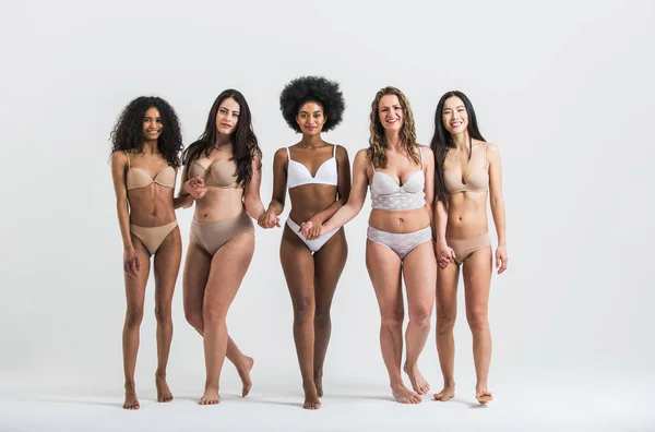 Grupo de mulheres com corpo e etnia diferentes posando juntas — Fotografia de Stock
