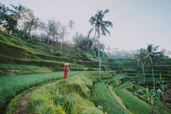 Hermosa chica visitando los campos de arroz de Bali en tegalalang, ubud —  Fotos de Stock