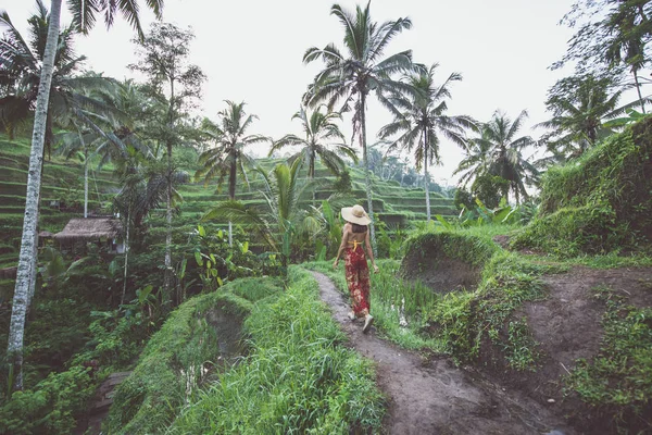 美丽的女孩参观巴厘岛稻田在特加拉朗,乌布 — 图库照片