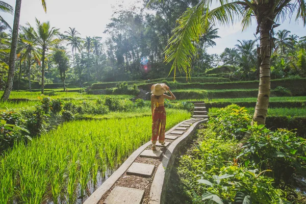 Hermosa chica visitando los campos de arroz de Bali en tegalalang, ubud —  Fotos de Stock