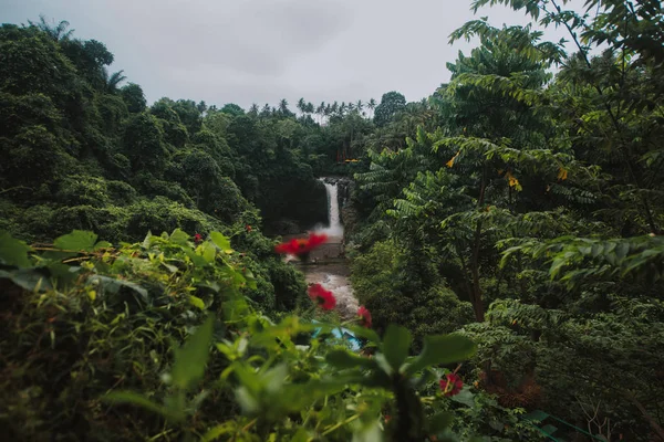 Belle fille qui s'amuse aux cascades de Bali. Concept abo — Photo