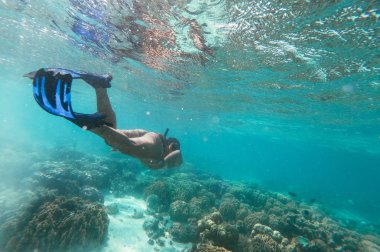 Mercanlarla dolu tropik bir denizde su altında yüzen güzel kadın. eylem kamera ile su altında çekim. wanderlust seyahatleri hakkında kavram