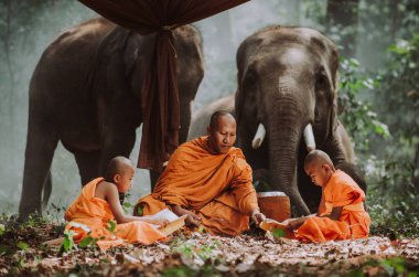 Thai monks studying in the jungle with elephants clipart