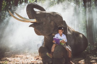 Okul oğlan oynarken içinde the Jungle ile onun arkadaşı fil