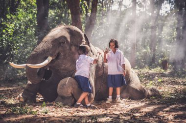 Tayland kızlar oyun sonra okul içinde the Jungle yakın onların elepha