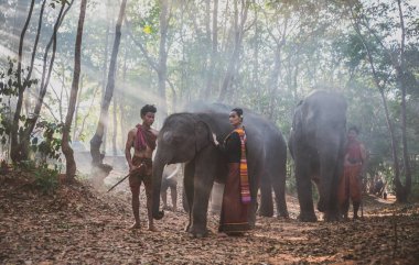 fil ile ormanda Tay çoban. Tarihi yaşam tarzı