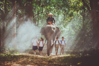 Adam ve çocuk ormanda fil, lifesty ile gidiyor