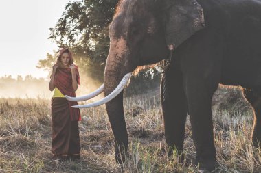 Güzel Tay kadın harcama zaman ile bu fil içinde bu Jung