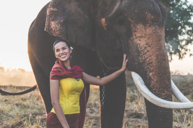 Güzel Tay kadın harcama zaman ile bu fil içinde bu Jung