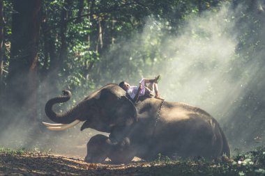 Arkadaşı fil ile ormanda okuyan okul çocuk