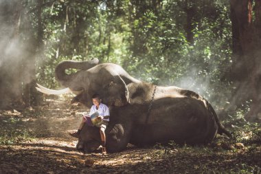 Arkadaşı fil ile ormanda okuyan okul çocuk