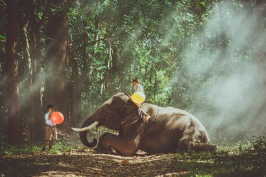 Okul oğlan oynarken içinde the Jungle ile onun arkadaşı fil