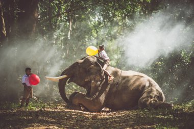 Okul oğlan oynarken içinde the Jungle ile onun arkadaşı fil