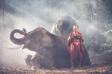 fil ile ormanda Tay çoban. Tarihi yaşam tarzı