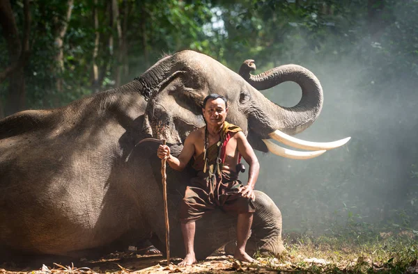 Тайський фермер ходить з слоном в джунглях — стокове фото