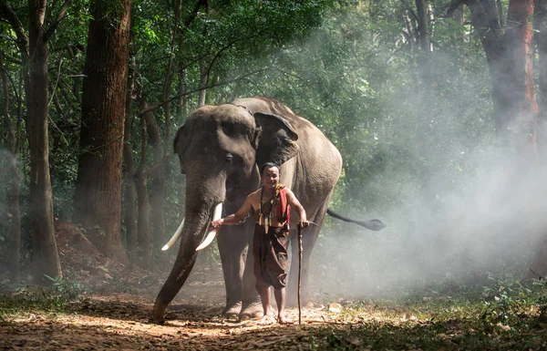 Тайский фермер гуляет со слоном в джунглях — стоковое фото