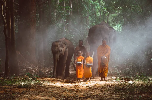 Monjes tailandeses caminando en la selva con elefantes — Foto de Stock