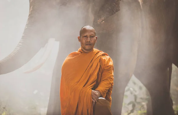 Thailändische Mönche mit Elefanten im Dschungel — Stockfoto