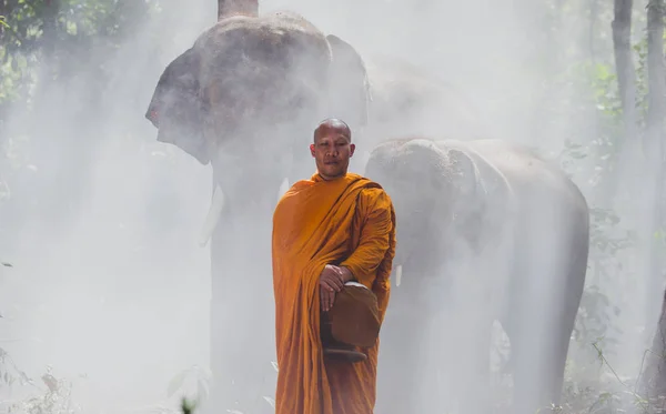 Thailändische Mönche mit Elefanten im Dschungel — Stockfoto