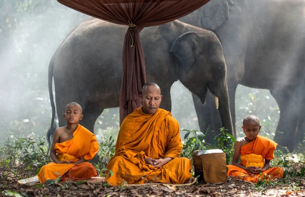 Monjes tailandeses caminando en la selva con elefantes —  Fotos de Stock