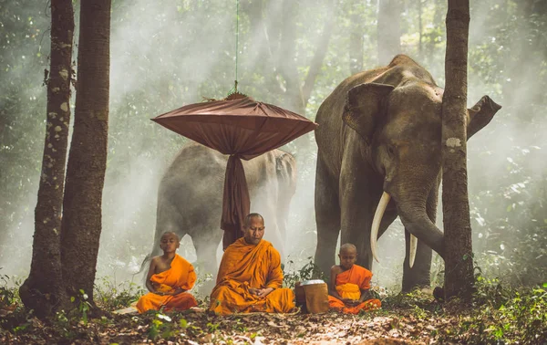 Monjes tailandeses caminando en la selva con elefantes — Foto de Stock