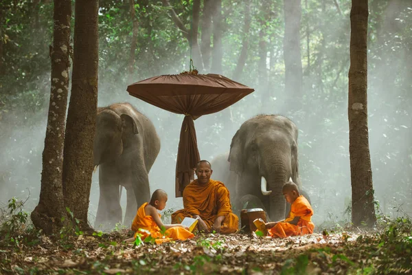 Thailändische Mönche lernen mit Elefanten im Dschungel — Stockfoto