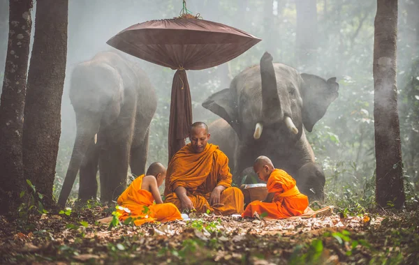 Thai szerzetesek tanul a dzsungelben az elefántok — Stock Fotó