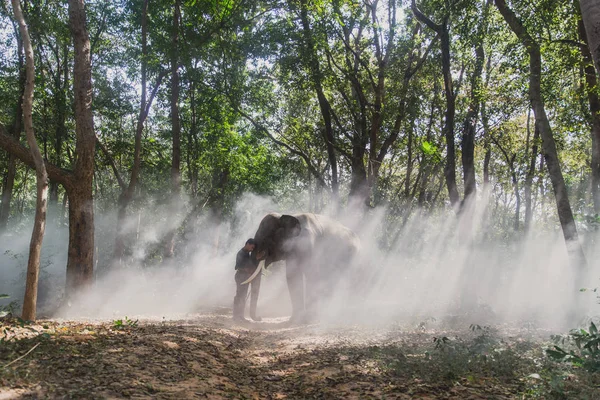 Homem e seu elefante no norte da Tailândia — Fotografia de Stock