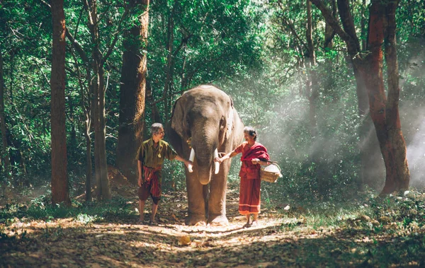 Vecchia coppia che cammina con il loro elefante nella giungla, in Thail — Foto Stock