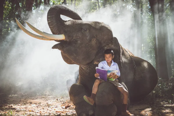小学生和他的朋友大象在丛林里玩耍 — 图库照片