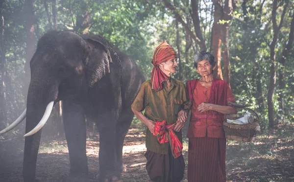 Old couple walking with their elephant into the jungle, in Thail