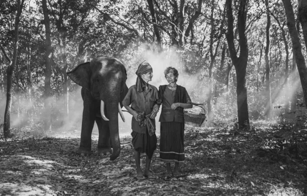 Old couple walking with their elephant into the jungle, in Thail