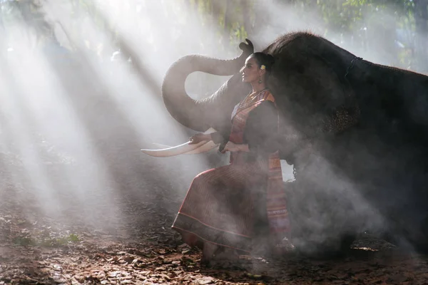Тайская женщина проводит время со слоном в лесу — стоковое фото