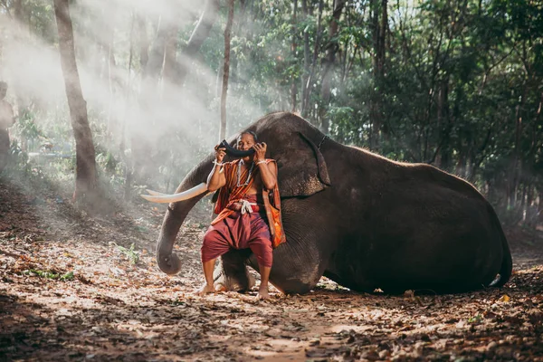Pastores tailandeses en la selva con elefantes. Estilo de vida histórico —  Fotos de Stock