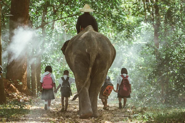 코끼리와 함께 정글에 가는 남자와 아이들, 생활 — 스톡 사진