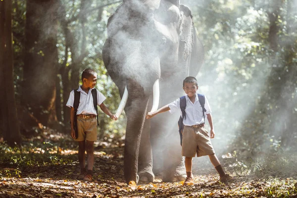 Чоловік і діти, що йдуть у джунглях зі слоном, стиль життя — стокове фото