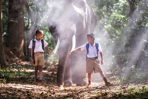 Man en Childrens gaan in de jungle met de olifant, lifesty — Stockfoto