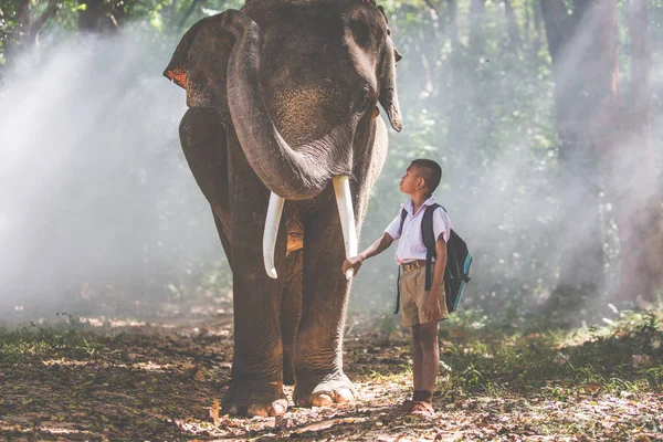 Mann und Kinder gehen mit dem Elefanten in den Dschungel, Lebensstil — Stockfoto